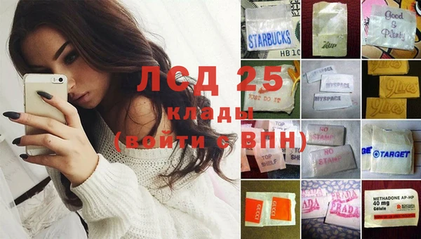 стафф Баксан