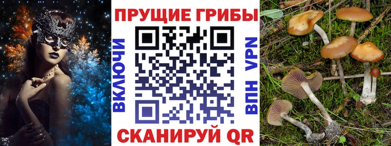 нарко площадка телеграм Новоульяновск Галлюциногенные грибы ЛСД даркнет сайт